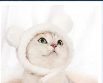 תחפושת Funny Pet Headband Plush Yarn Cat Dog Cap Panda Pig Pet Warm Cosplay Accessories Photo Props Headwear for Dog and Cat고양이