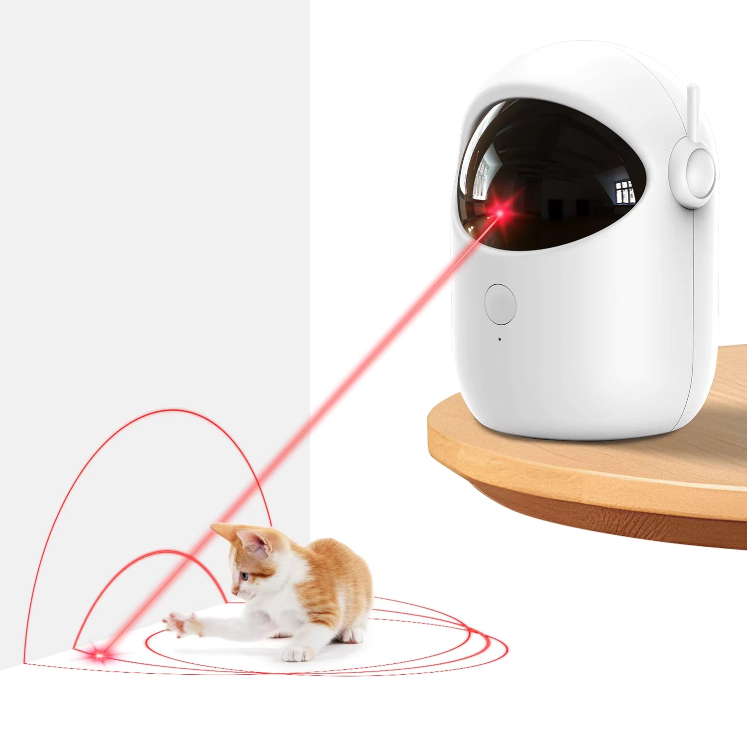 Cat and Dog Lasers