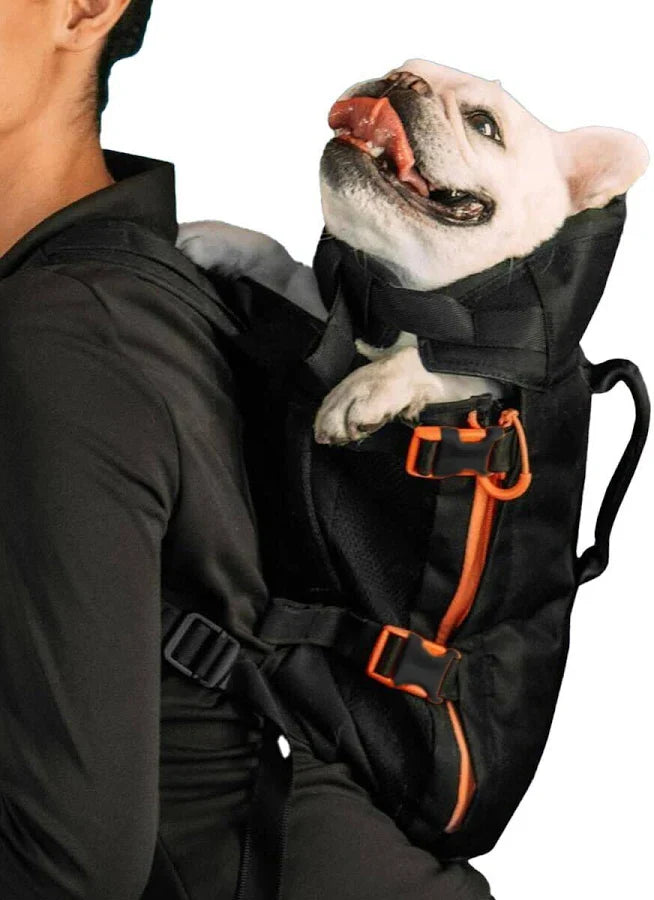 Doggy Back Pack