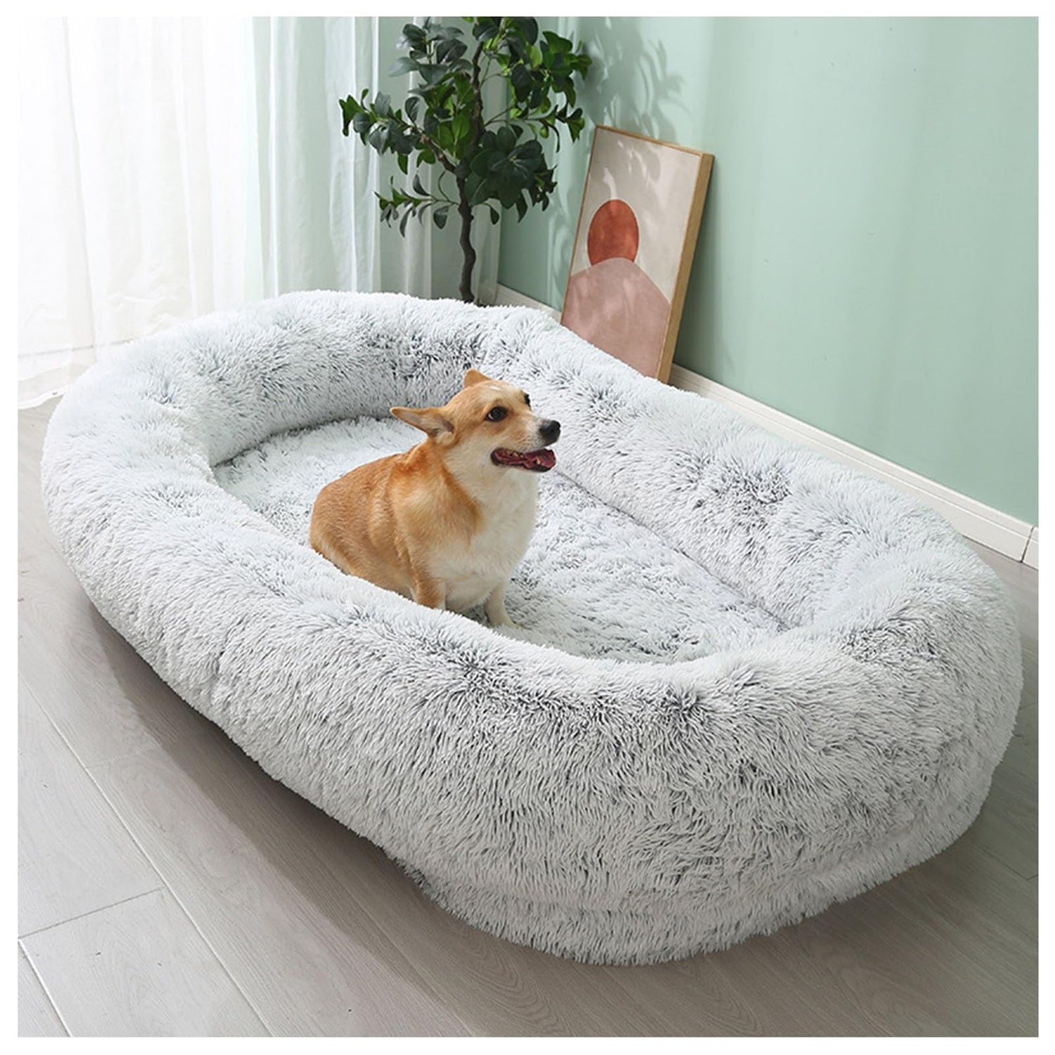 Dog Beds