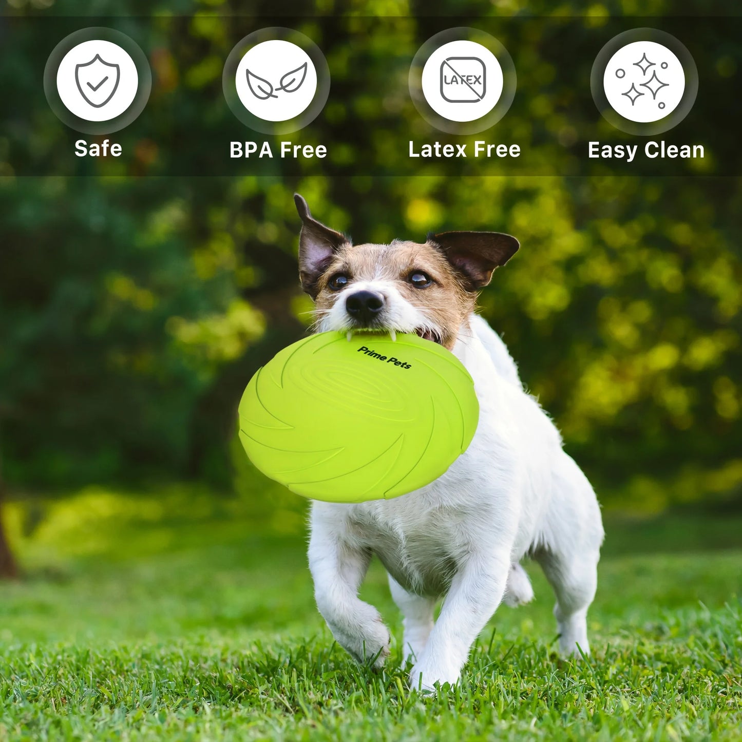 2-Pack Dog Frisbees, 7-Inch Dog Toys, Natural Rubber Floating Discs, Ideal for Outdoor Pools and Beaches