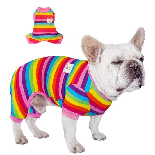 Frenchie Clothes