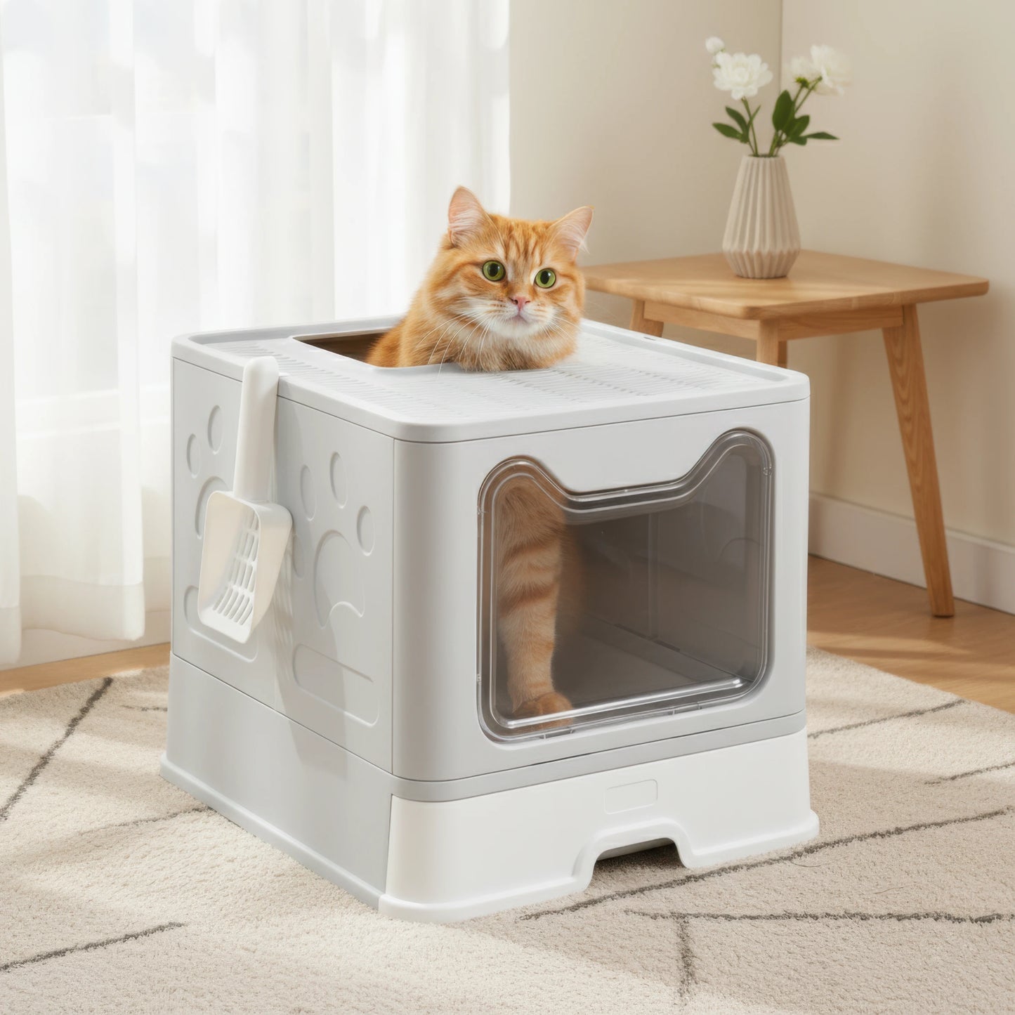 Enclosed Cat Litter Box with Lid Top Exit Covered Litter Box Leak Proof & Odorless Easy to Clean Including Cat Litter Scoop Mat