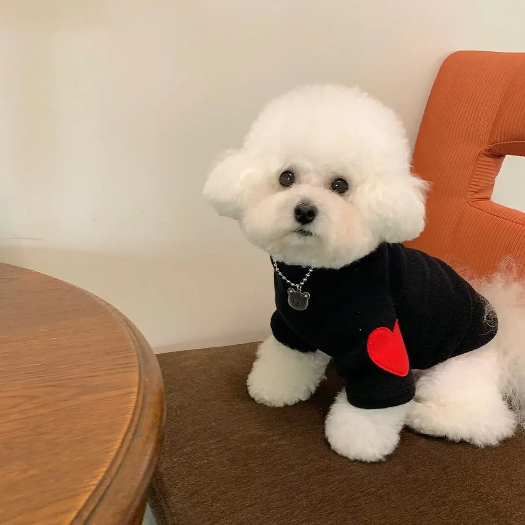 Winter Dog Shirt Heart-shaped Patch Embroidery Sweatshirt Chihuahua Breathable Warm Shirt Puppy Outdoor Clothes Pet Supplies