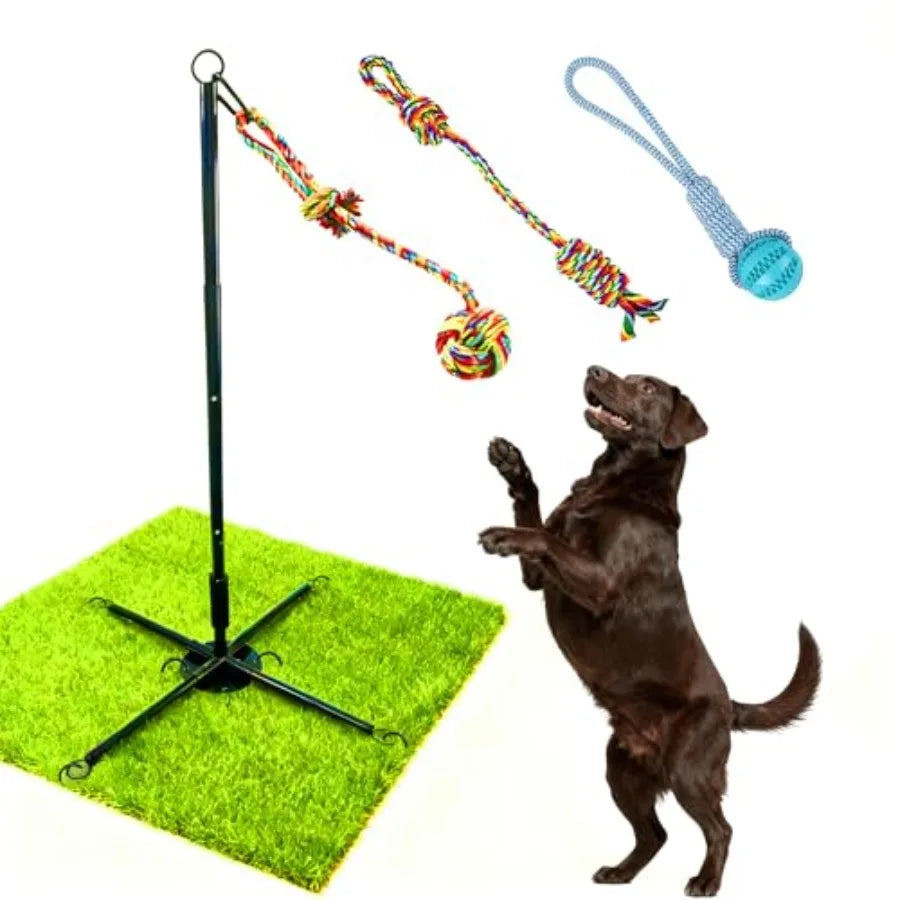 Tether Tug Outdoor Dog Toy Interactive Exercise Game for Yard Park with 3 Rope Toys for Tug of War Pull Chase and Solo Play in