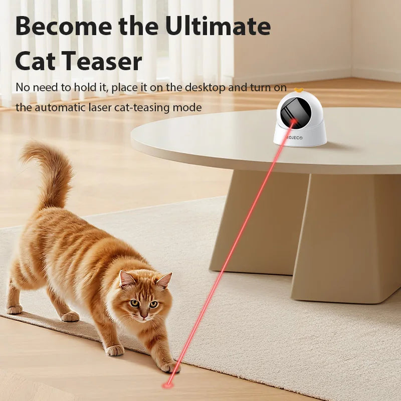 Automatic Pet Toy