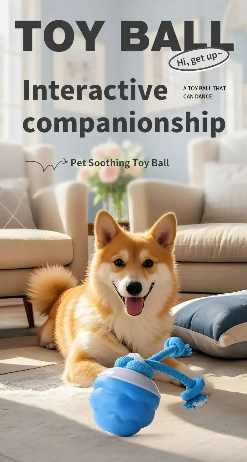 Interactive Dog Toys Smart Rolling Ball With Rope Motion Activated Automatic Moving Squeaky Dog Training Puppy Chew Toy Balls