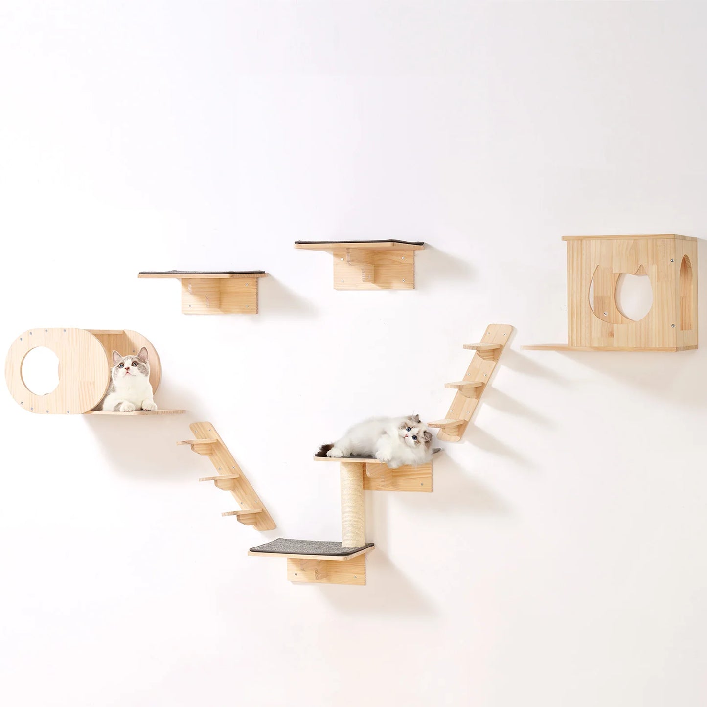 Wall Mounted Cat Shelves Cat Wall Shelves and Perches with Jumping Boards Hammocks & Cat Tree Cat Furniture and Shelves