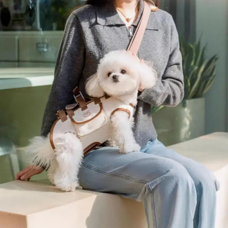 Portable Outdoor Breathable Traction Backpack Dog Leash Cat and Dog Harness Can Be Carried or Crossbody Cat Bag Pet Supplies