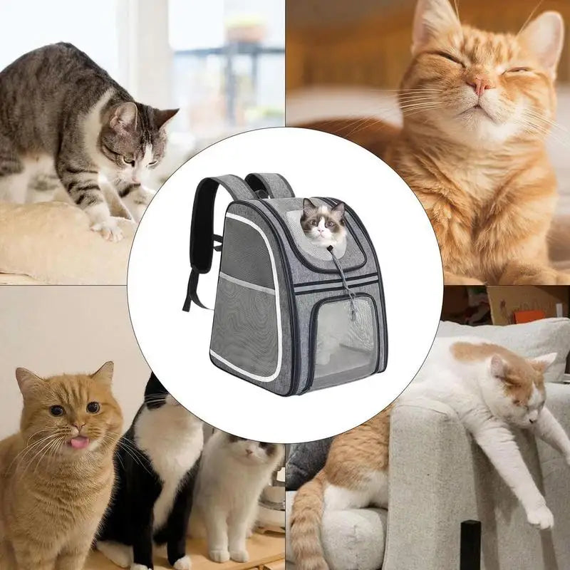 Dog Backpack Carrier Puppy Backpack Large Capacity Kitten Carry Pouch Reflective Strip Dog Travel Pouch Storage Daypack For Pupp