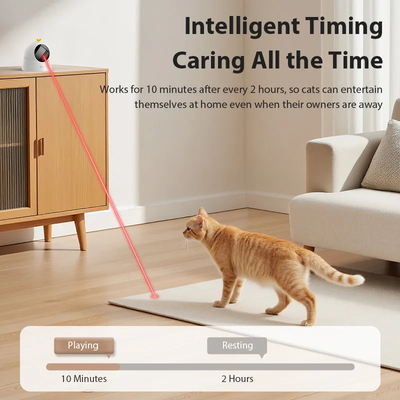 Automatic Pet Toy