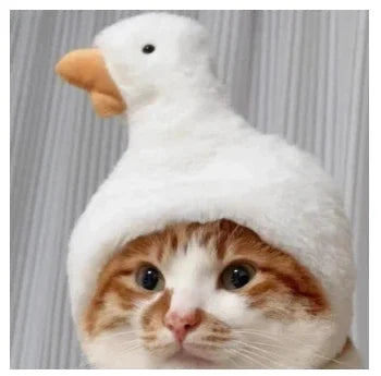 תחפושת Funny Pet Headband Plush Yarn Cat Dog Cap Panda Pig Pet Warm Cosplay Accessories Photo Props Headwear for Dog and Cat고양이