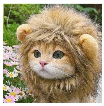 תחפושת Funny Pet Headband Plush Yarn Cat Dog Cap Panda Pig Pet Warm Cosplay Accessories Photo Props Headwear for Dog and Cat고양이