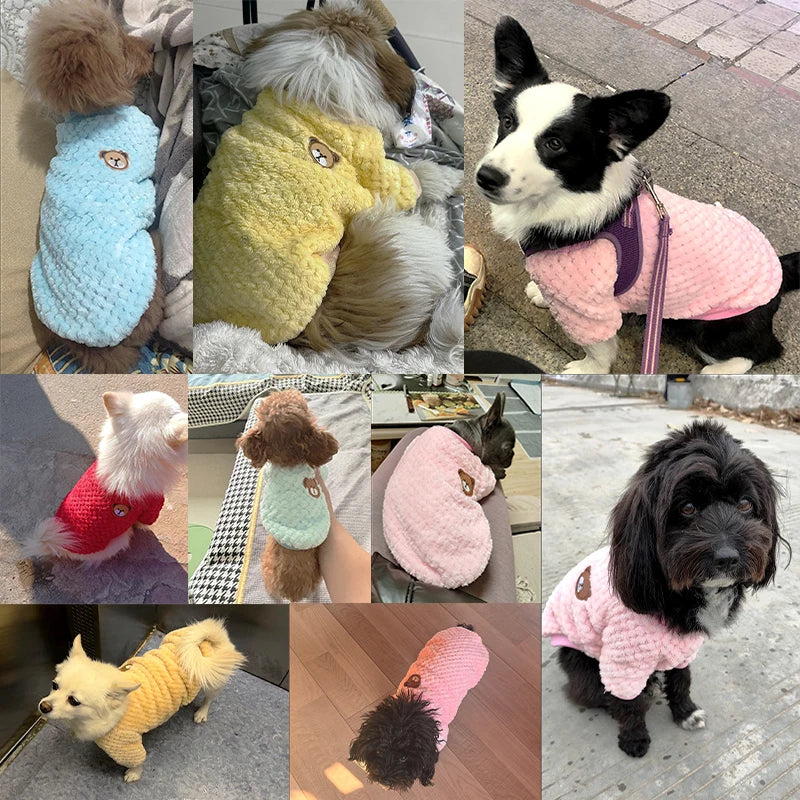 Winter Pet Dog Clothes Bear Print Dog Hoodie Soft Warm Puppy Sweatshirt Chihuahua French Bulldog Coat Jacket Fashion Dog Costume