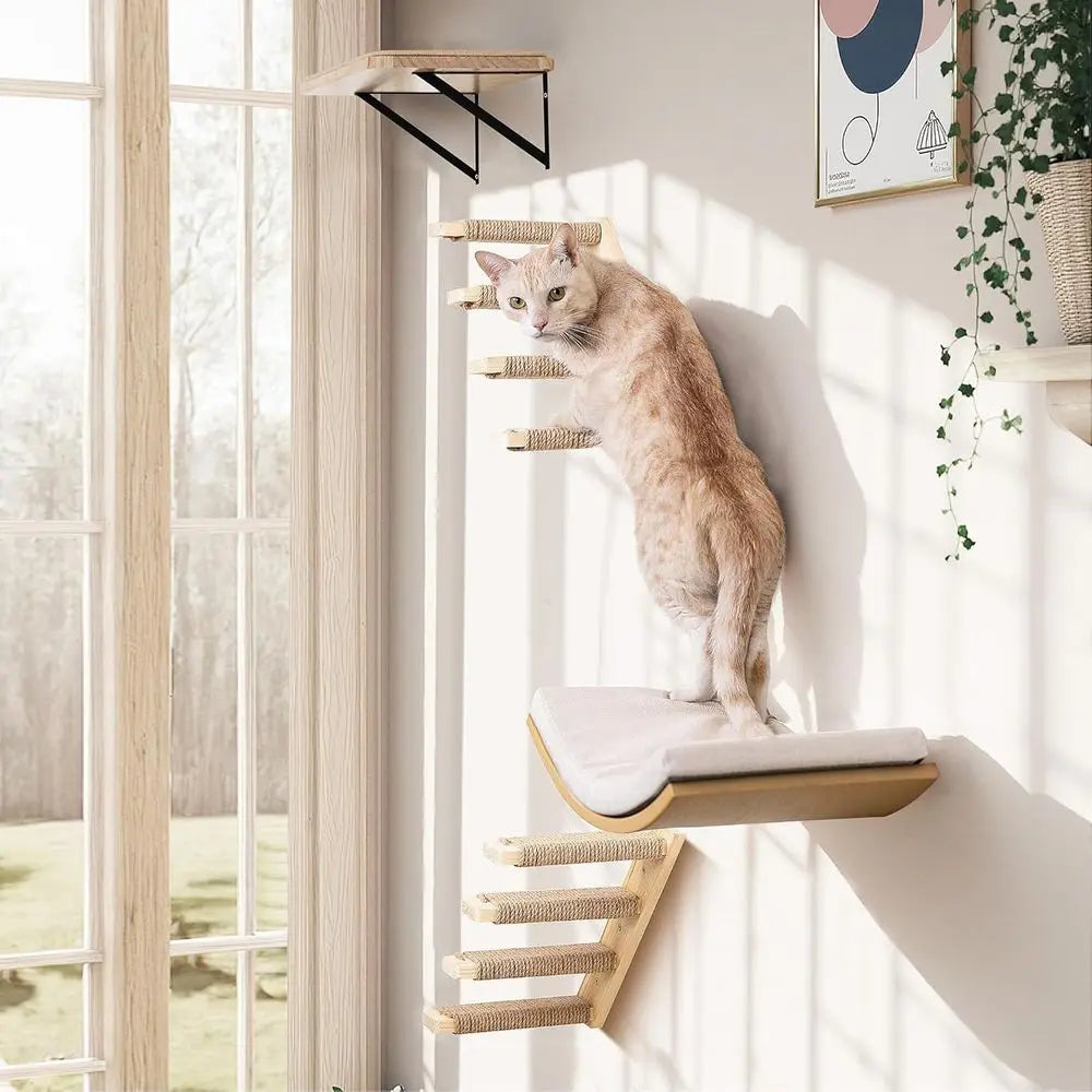 Wooden Wall-Mounted Cat Furniture Set with Curved Bed, Flat Perch, and 4-Step Stairs