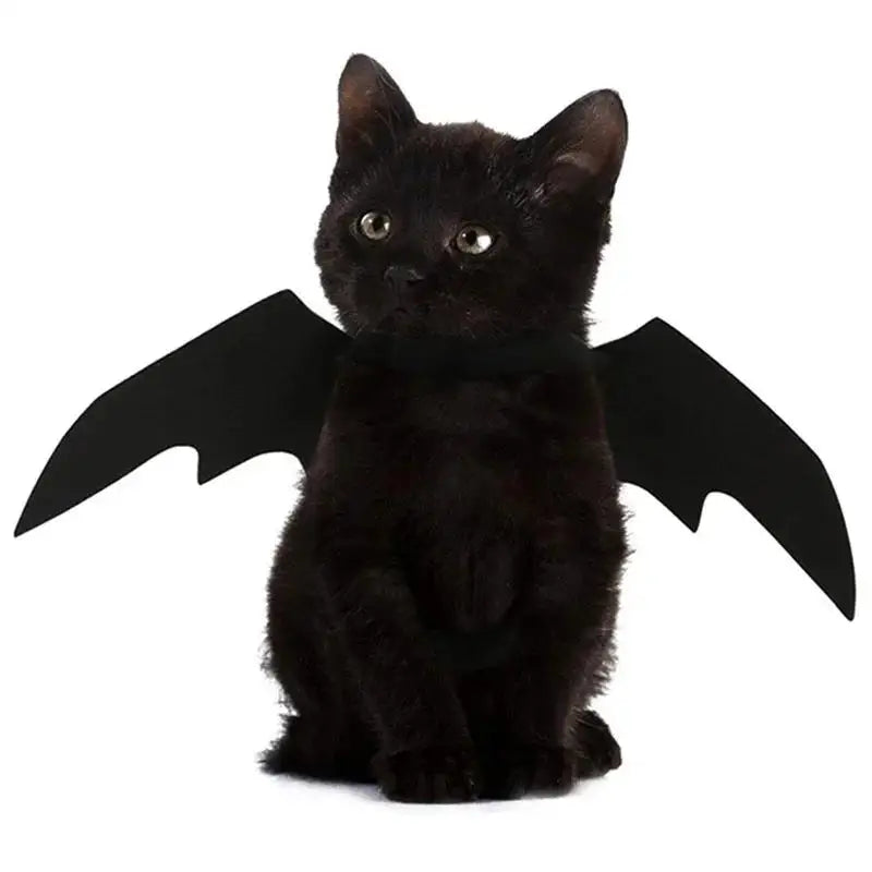 Halloween Cute Pet Clothes Black Bat Wings Harness Costume For Halloween Cosplay Cat Dog Halloween Party For Pet Supplies