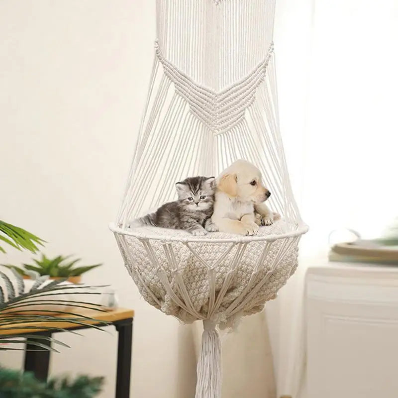 Cat Hideouts and Hammocks