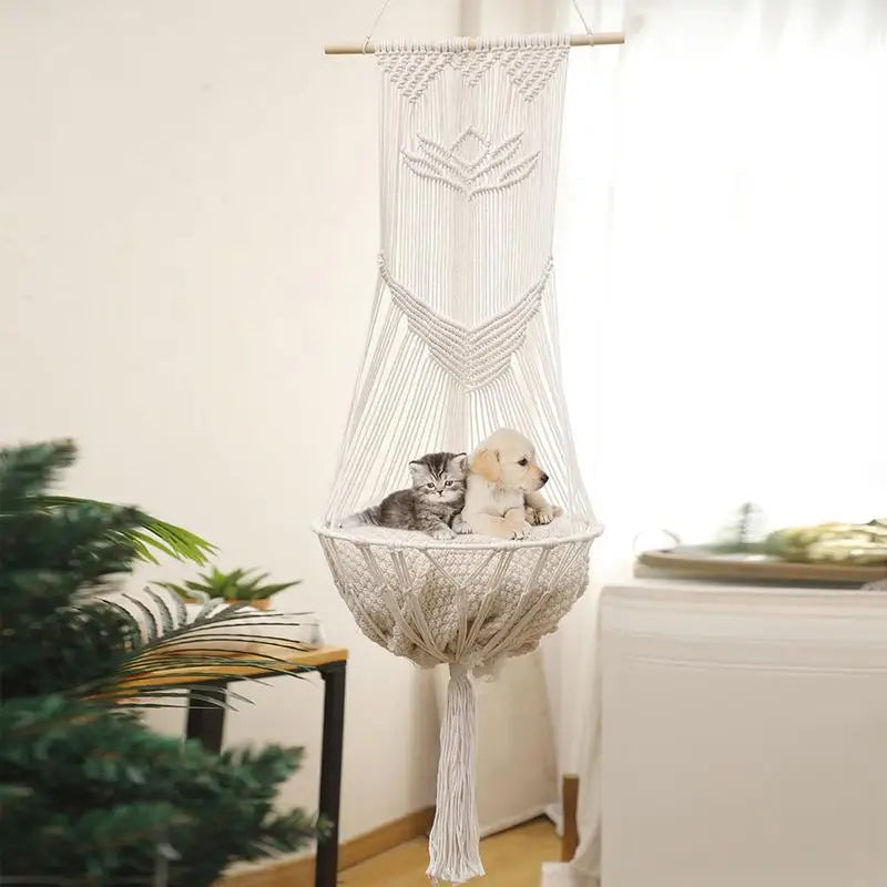 Cat Hideouts and Hammocks