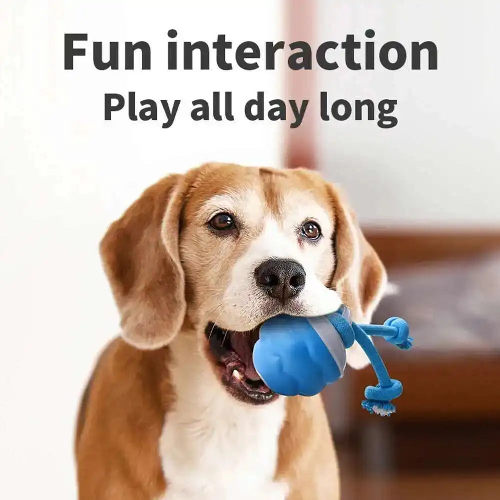 Interactive Dog Toys Smart Rolling Ball With Rope Motion Activated Automatic Moving Squeaky Dog Training Puppy Chew Toy Balls