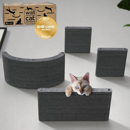 Set of 4 Wall-Mounted Cat Shelves: Sustainable PET Felt Climbing Furniture for Indoor Cats, Modern Charcoal Design