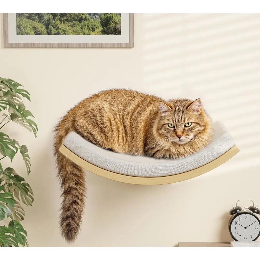 Wooden Wall-Mounted Cat Furniture Set with Curved Bed, Flat Perch, and 4-Step Stairs