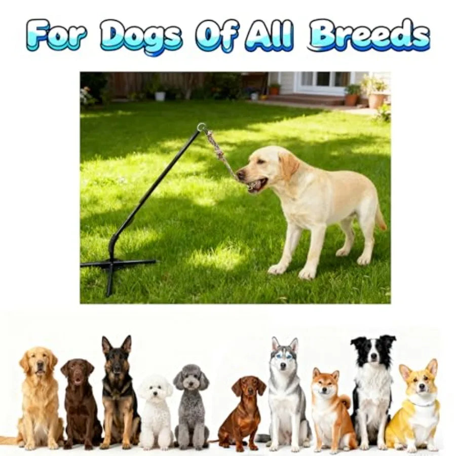 Tether Tug Outdoor Dog Toy Interactive Exercise Game for Yard Park with 3 Rope Toys for Tug of War Pull Chase and Solo Play in