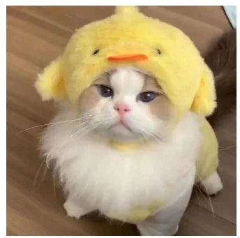 תחפושת Funny Pet Headband Plush Yarn Cat Dog Cap Panda Pig Pet Warm Cosplay Accessories Photo Props Headwear for Dog and Cat고양이