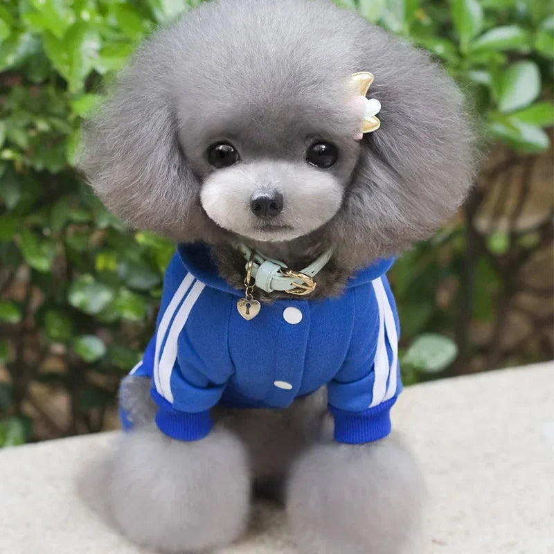 Adidog Dog Clothes Thick Overalls for Dogs, Winter Pet Dog Clothing for Small Dogs Puppy Jumpsuit Tracksuit Costume for Yorkie