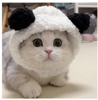 תחפושת Funny Pet Headband Plush Yarn Cat Dog Cap Panda Pig Pet Warm Cosplay Accessories Photo Props Headwear for Dog and Cat고양이