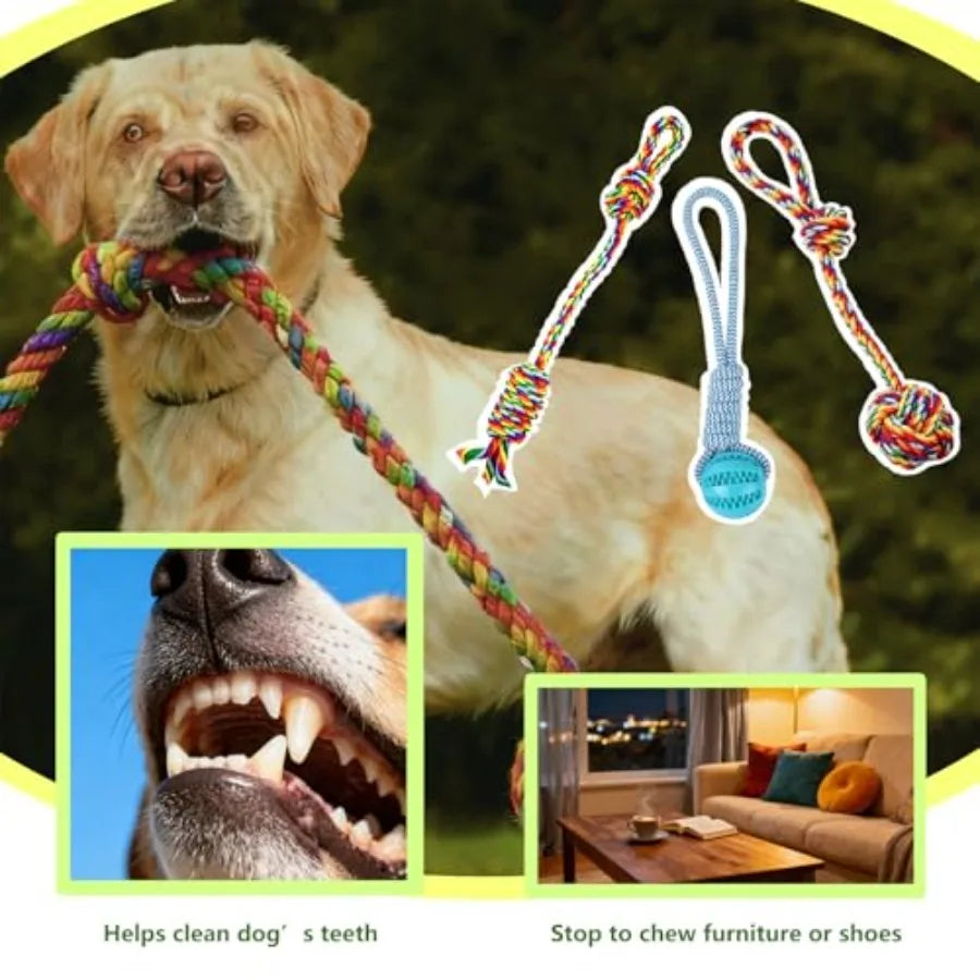 Tether Tug Outdoor Dog Toy Interactive Exercise Game for Yard Park with 3 Rope Toys for Tug of War Pull Chase and Solo Play in