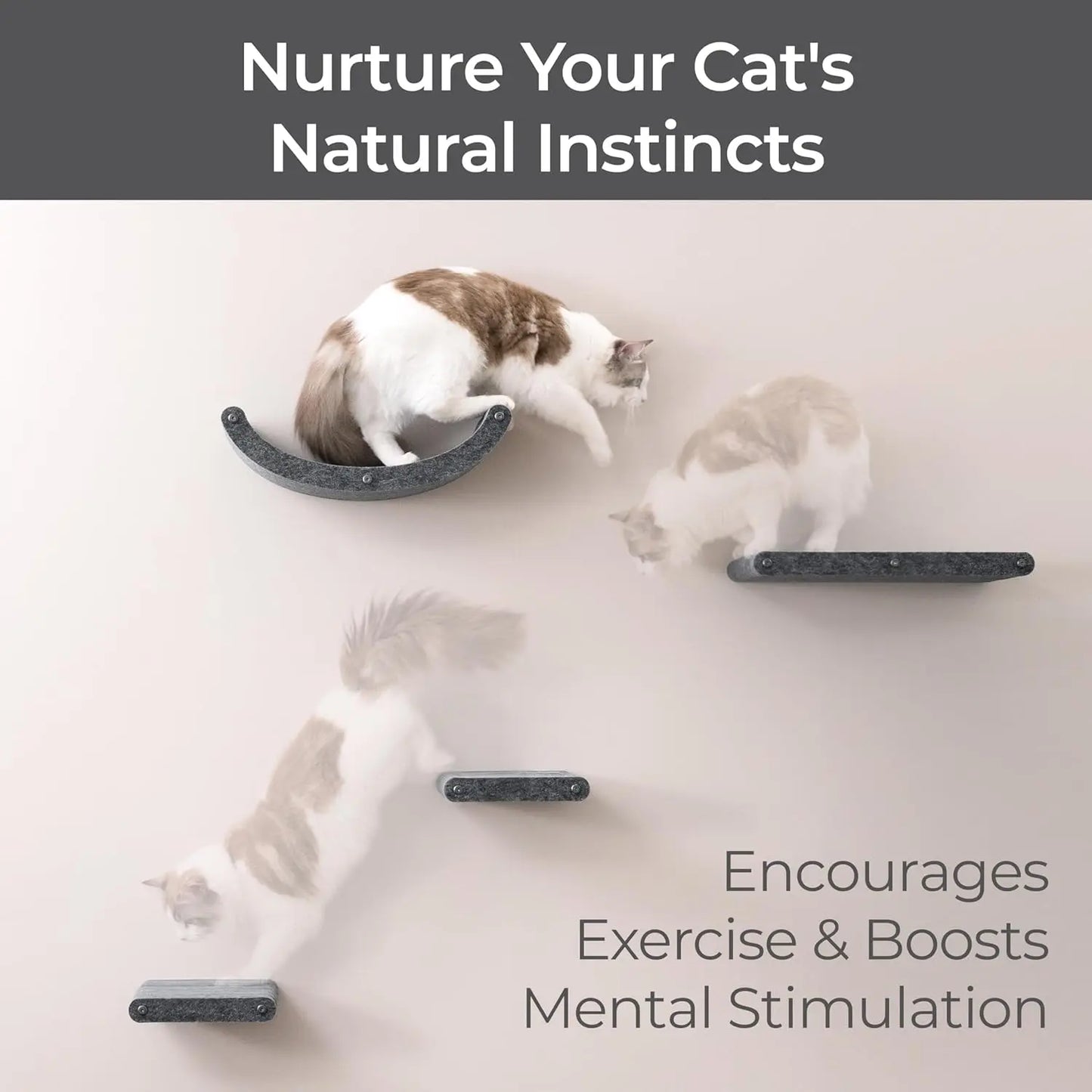 Set of 4 Wall-Mounted Cat Shelves: Sustainable PET Felt Climbing Furniture for Indoor Cats, Modern Charcoal Design
