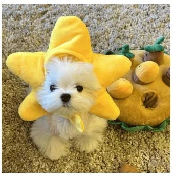 תחפושת Funny Pet Headband Plush Yarn Cat Dog Cap Panda Pig Pet Warm Cosplay Accessories Photo Props Headwear for Dog and Cat고양이