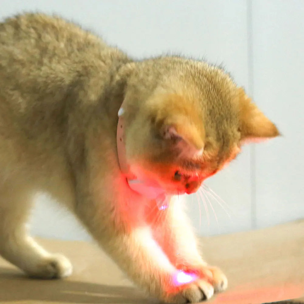 Electric Smart Amusing Kitten Collar USB Rechargeable Interactive Self Entertainment Cat Teasing Collar for Indoor Cats